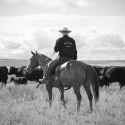 10 Reasons Why I Wanted to Marry a Cowboy